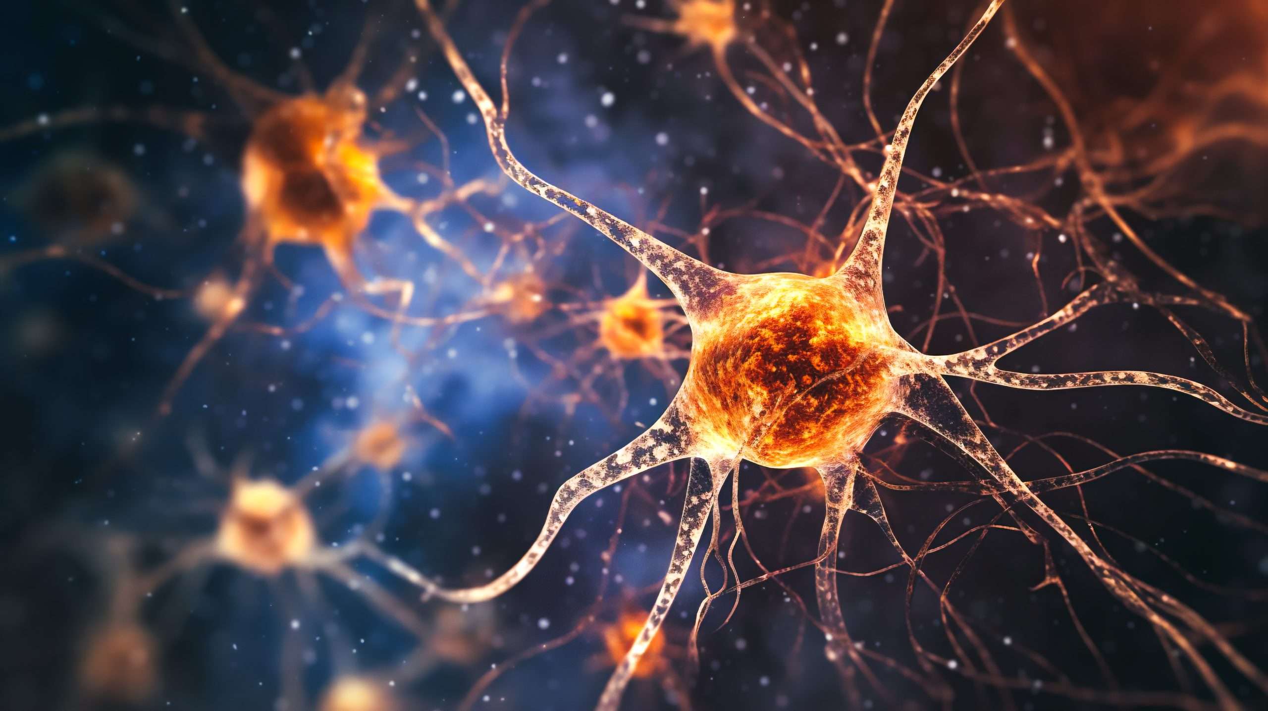 Rewiring the Brain
