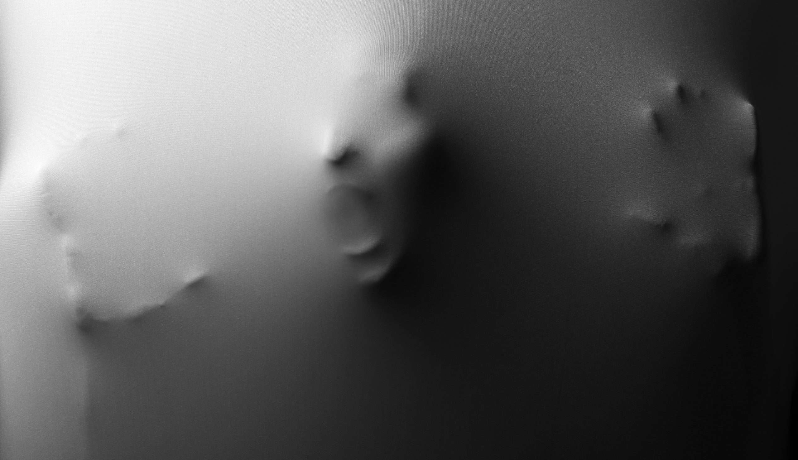 The Ghosts in the Machine