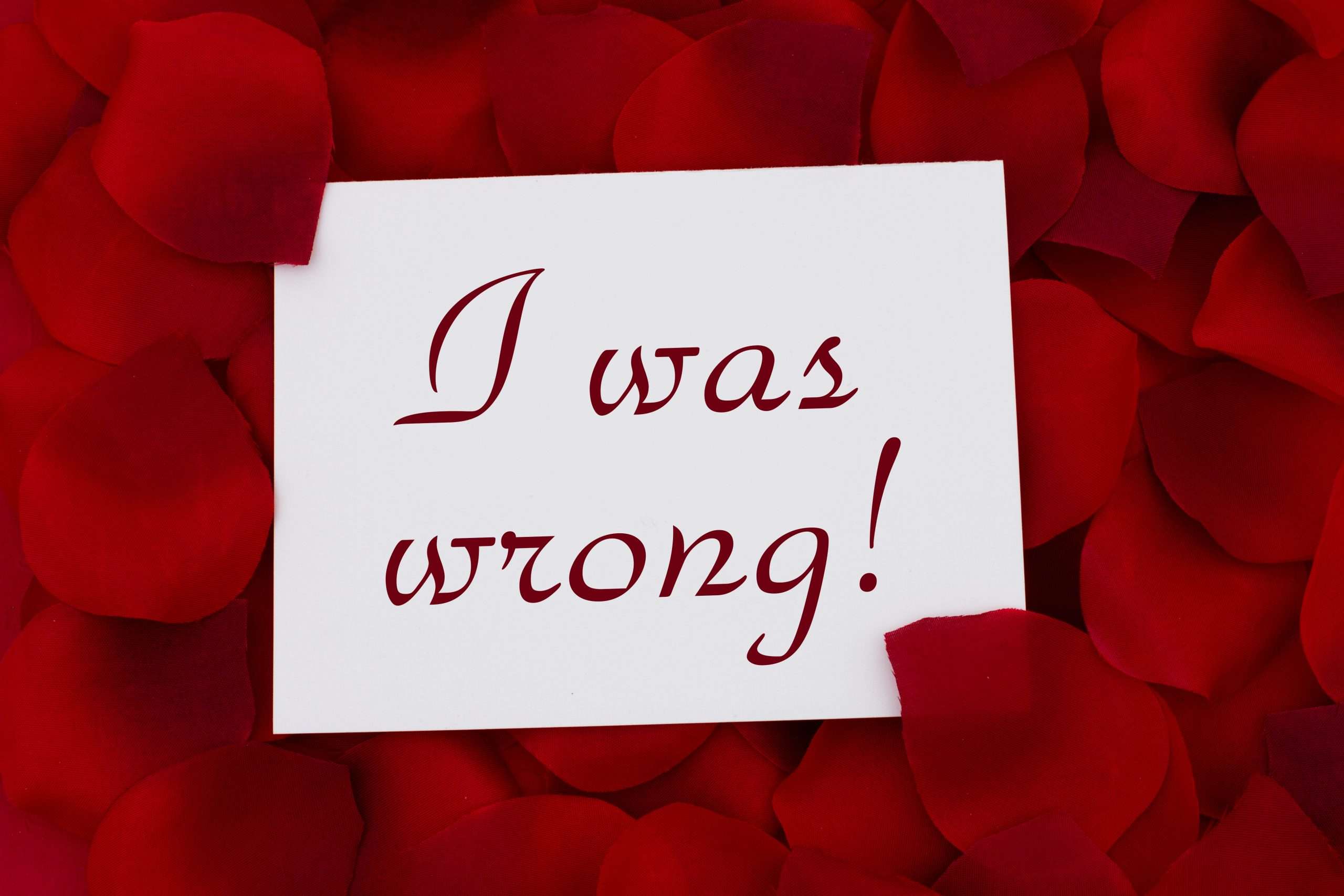 The Joy of Being Wrong