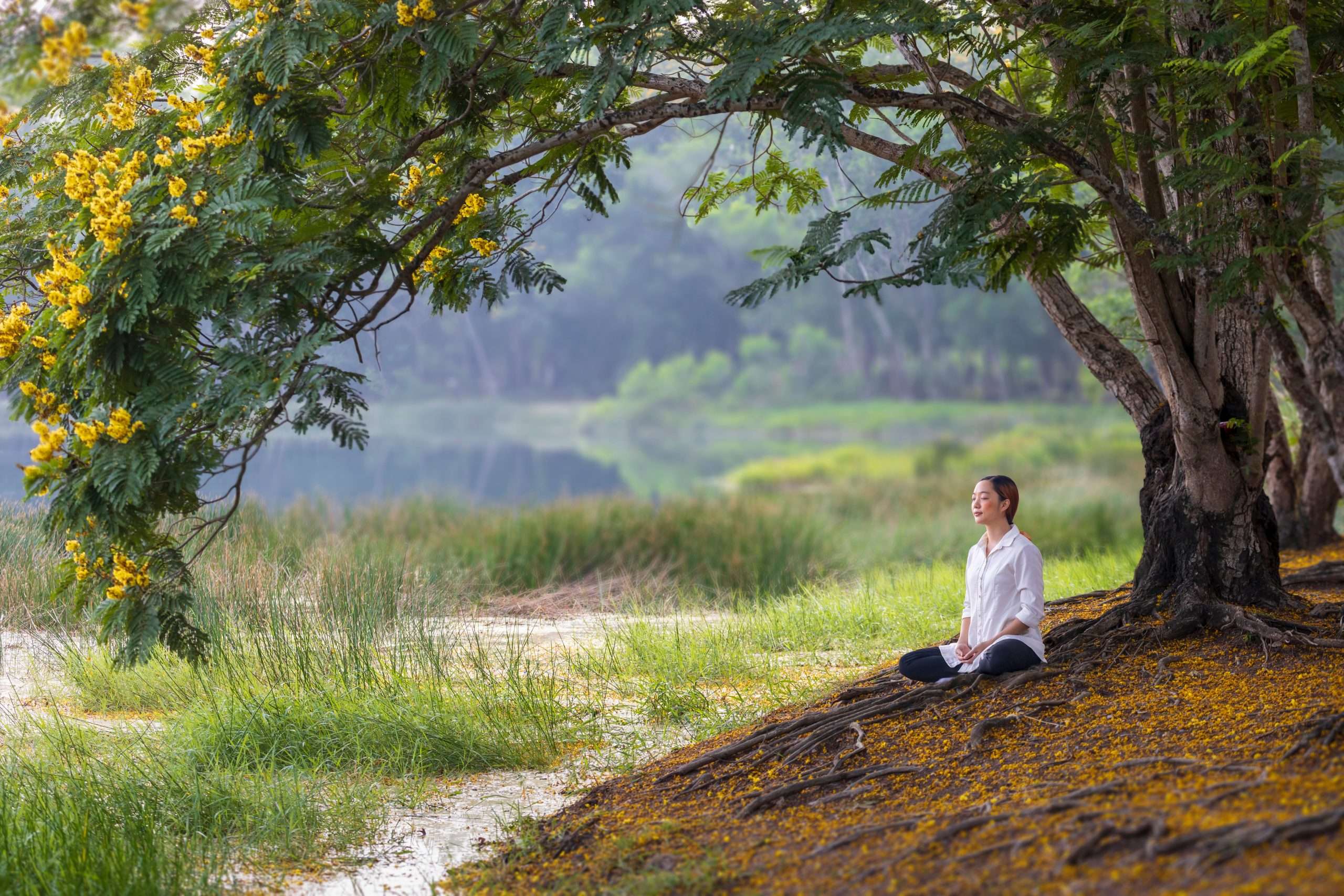 Living Consciously